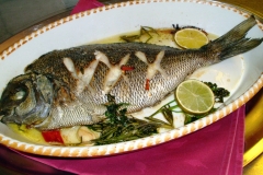 Dorade Andalusisch im Ganzen